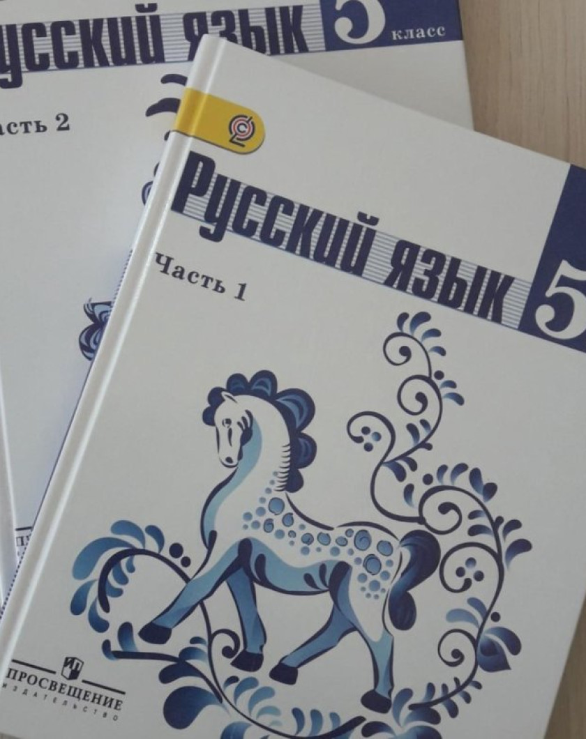 5 класс русский язык вся страница. Русский язык 5 класс учебник. Русский 5 класс учебник. Учебник по русскому я языку ладыженская.